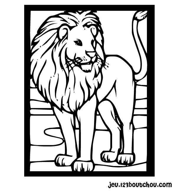 León #5754