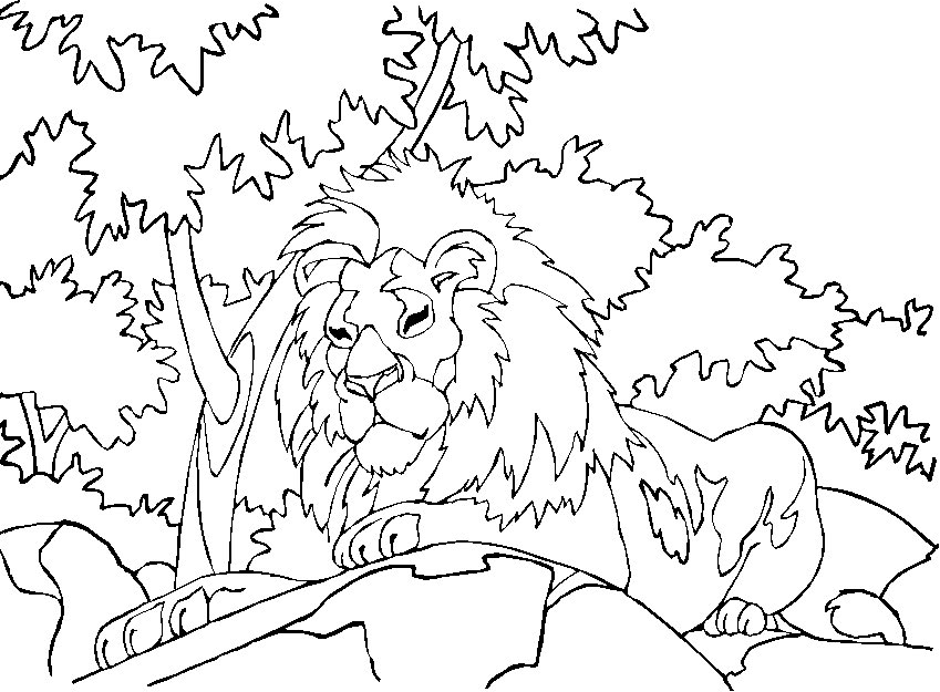 León #5765