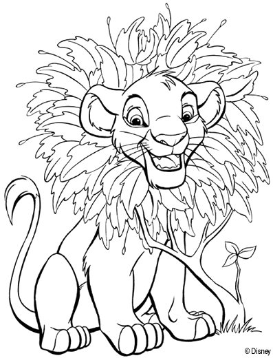 León #5768