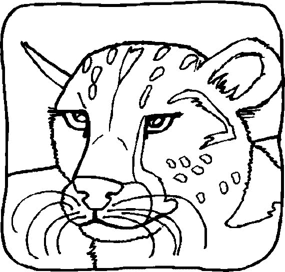 León #5771