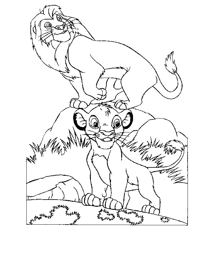 León #5772