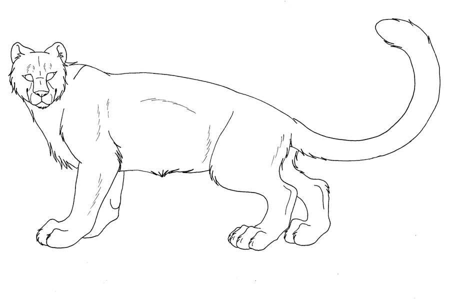 Leopardo #5798