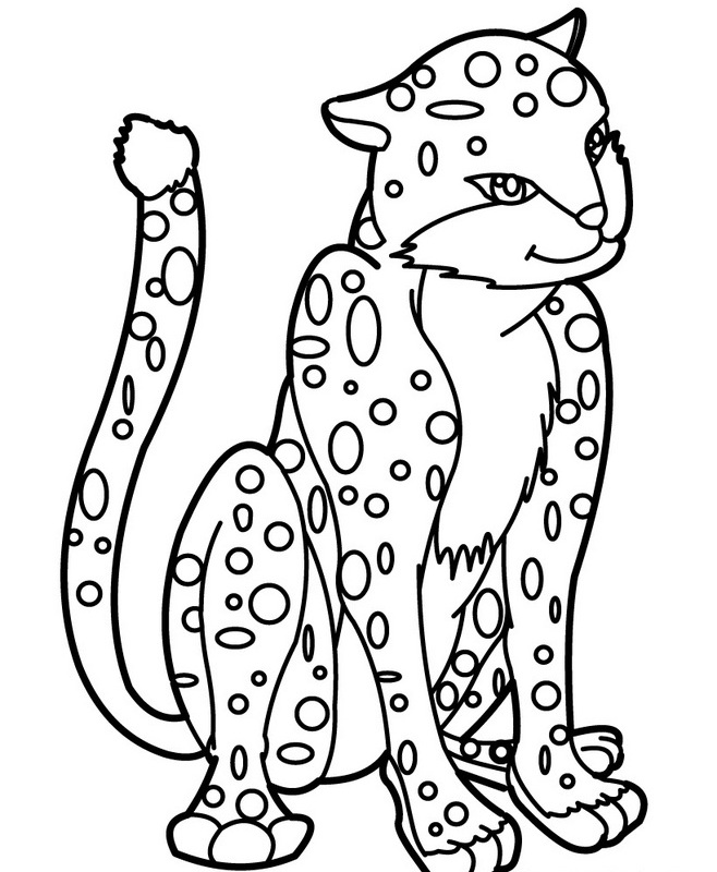 Leopardo #5799