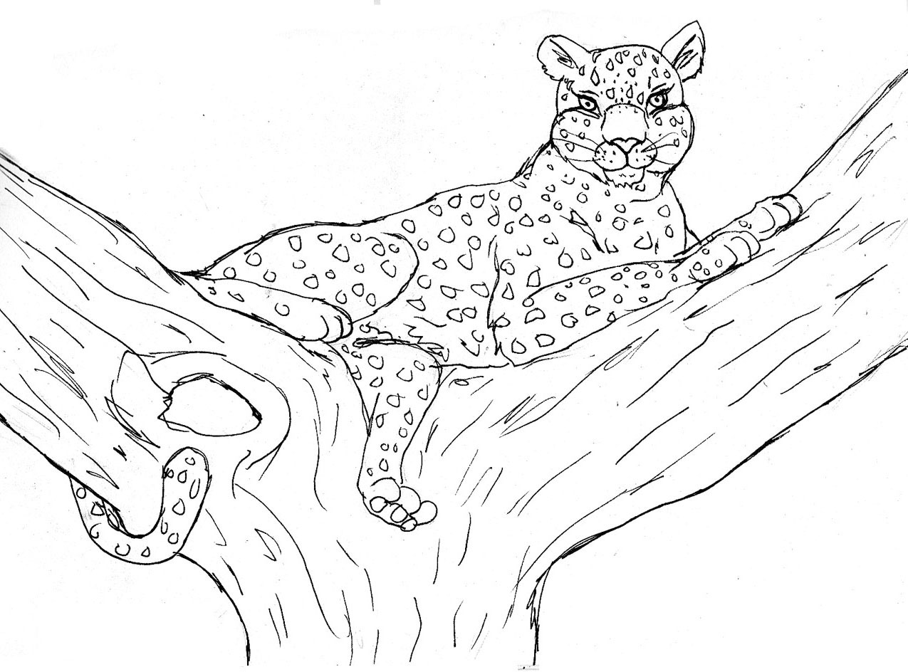Leopardo #5810