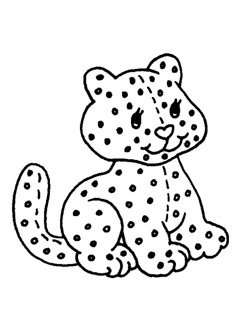Leopardo #5817