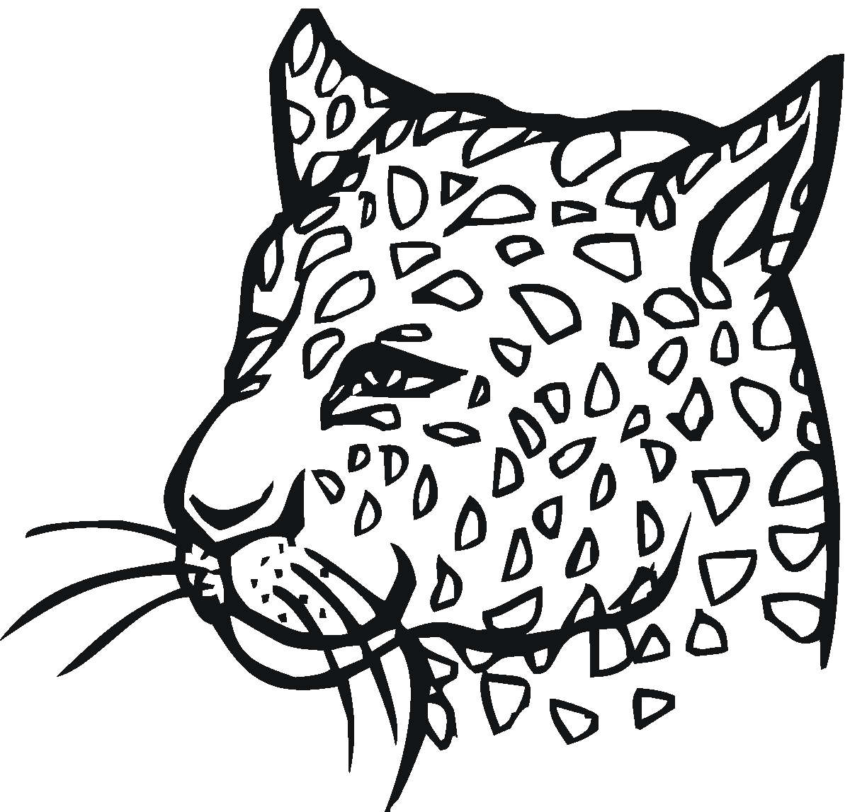 Leopardo #5819