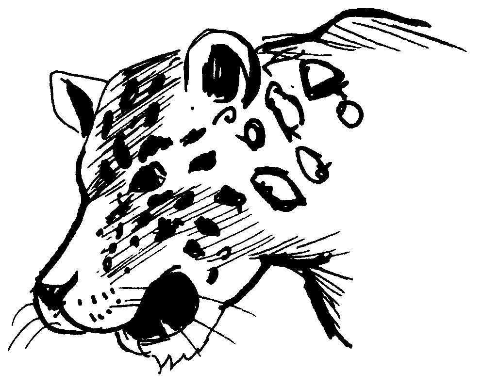 Leopardo #5820