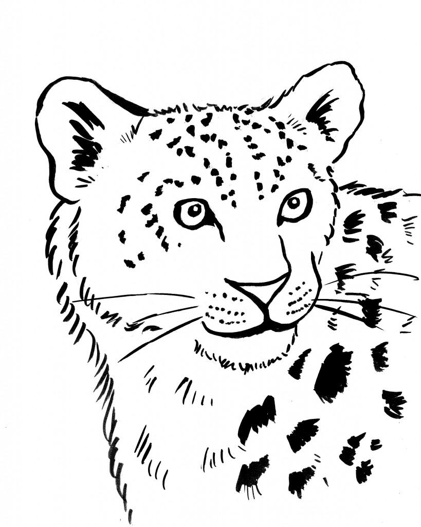 Leopardo #5824