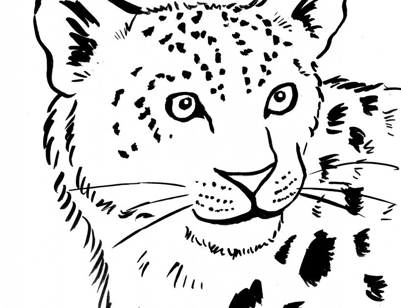 Leopardo #5825