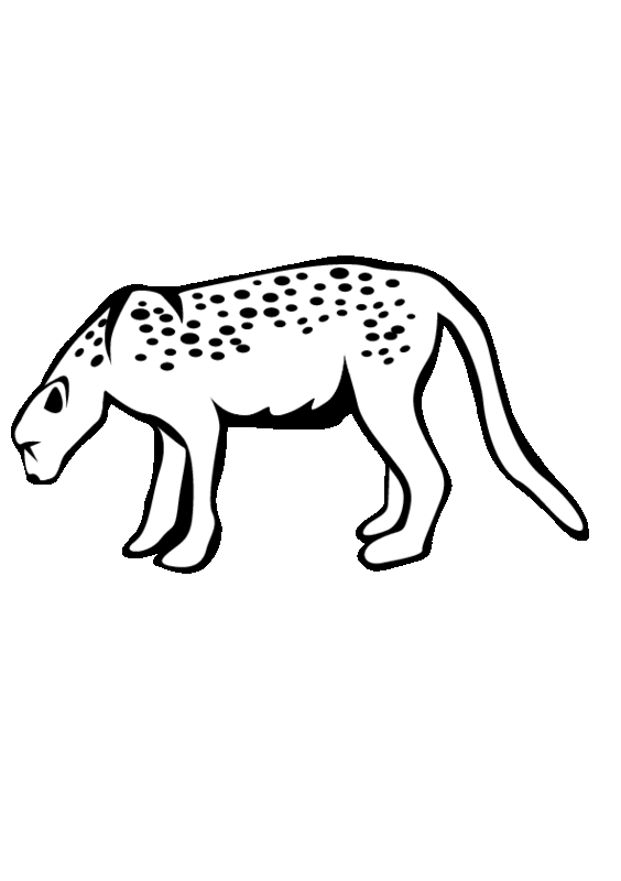 Leopardo #5828