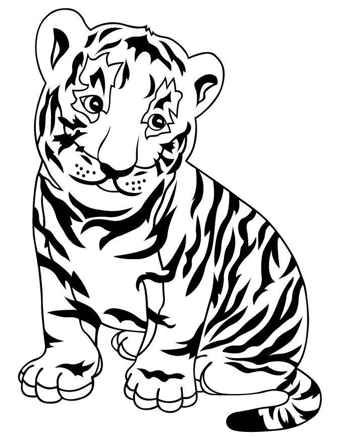 Leopardo #5830