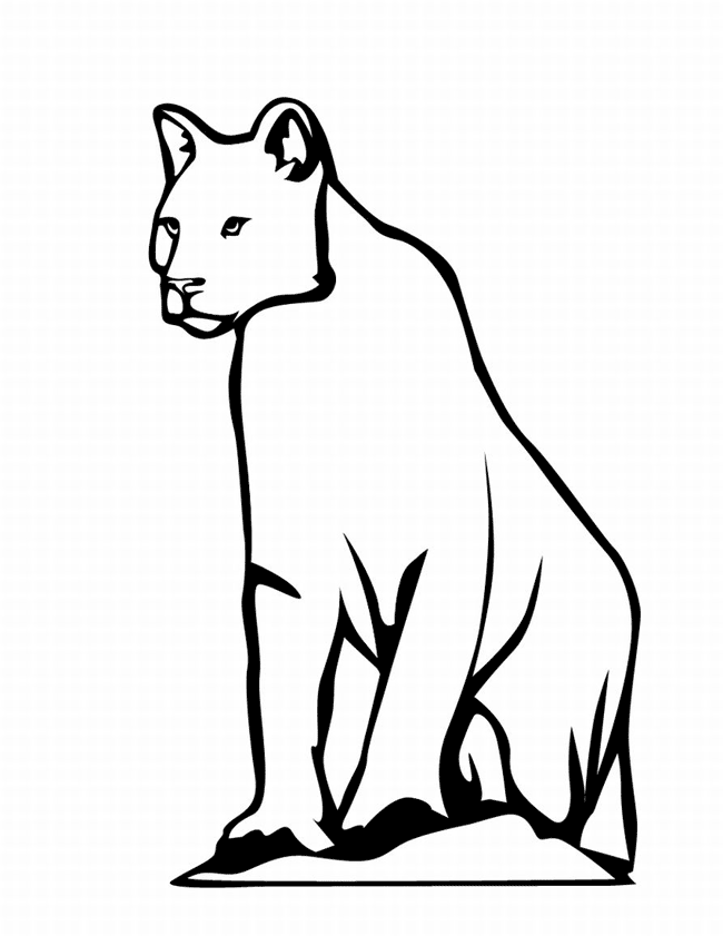 Leopardo #5832