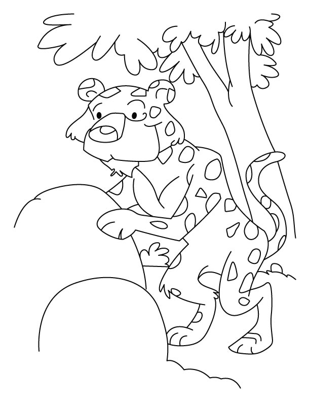 Leopardo #5836