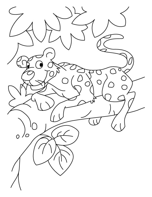 Leopardo #5853
