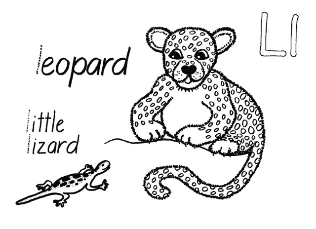 Leopardo #5856