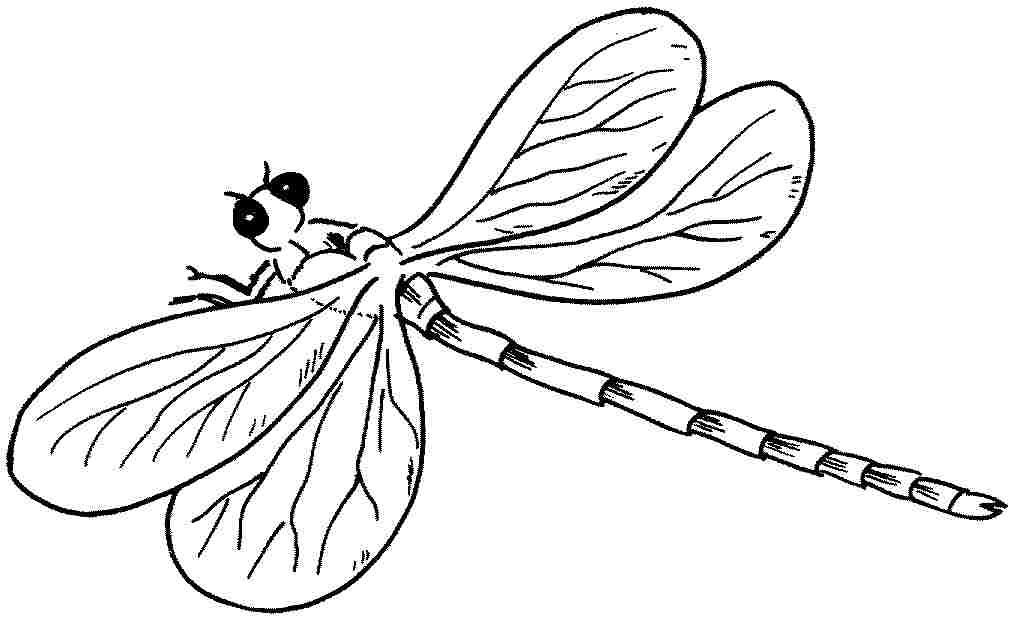 Libélula #5865