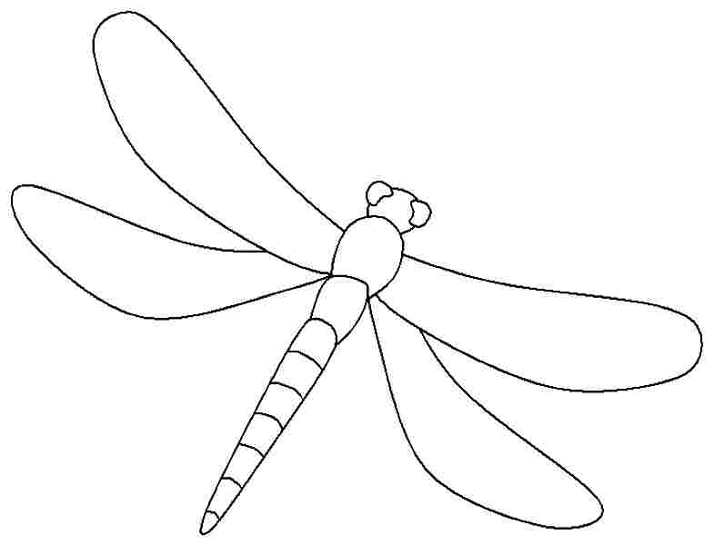 Libélula #5866