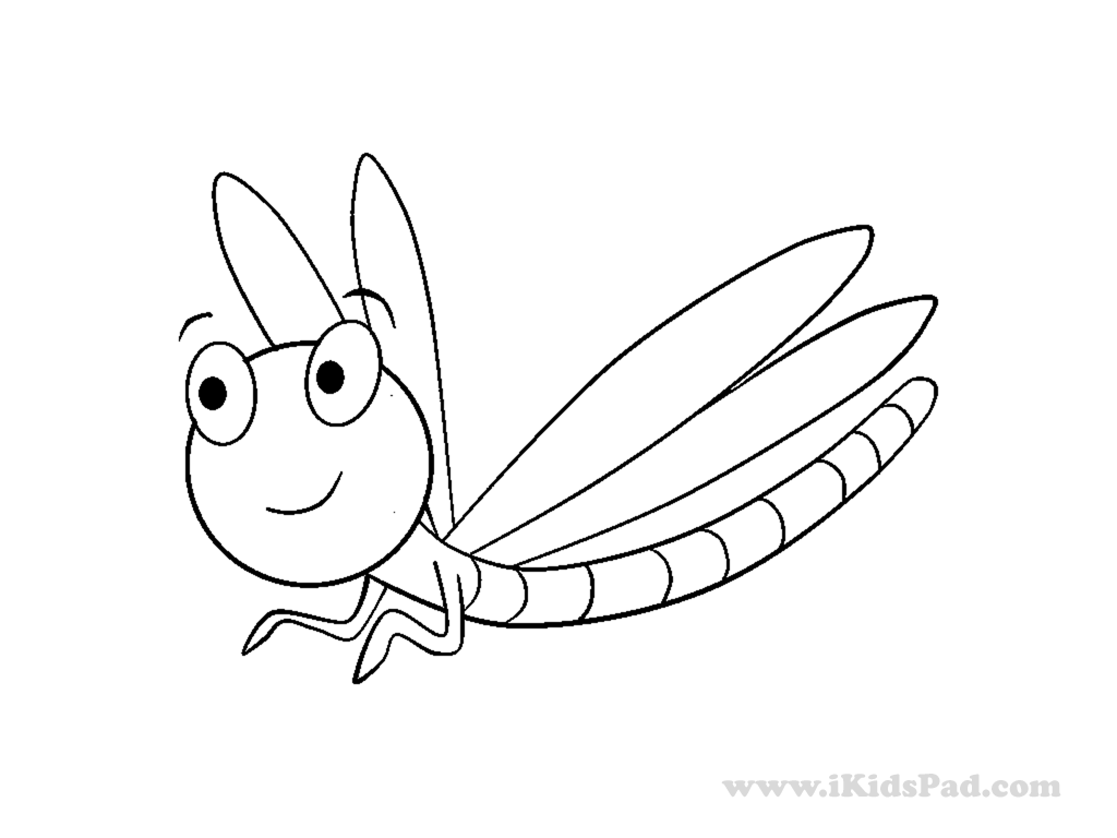 Libélula #5880
