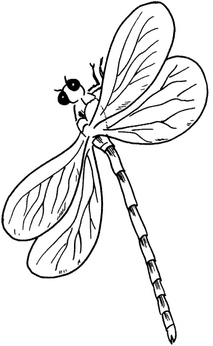 Libélula #5886
