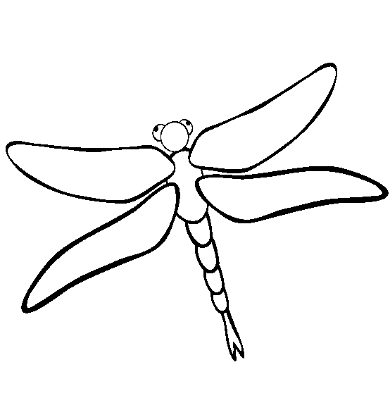 Libélula #5889