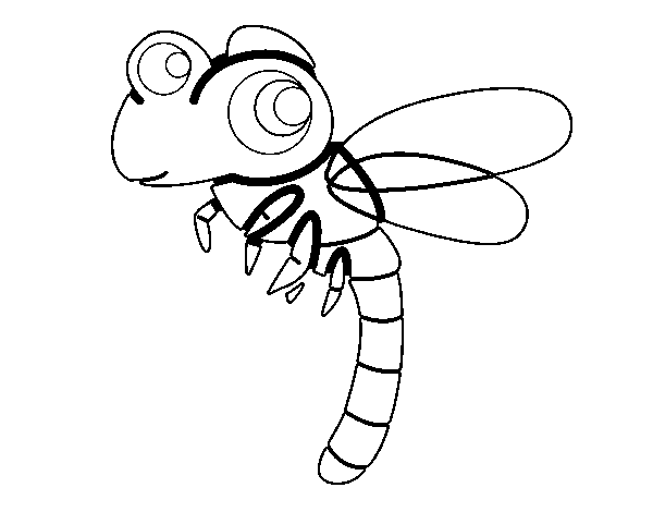 Libélula #5898