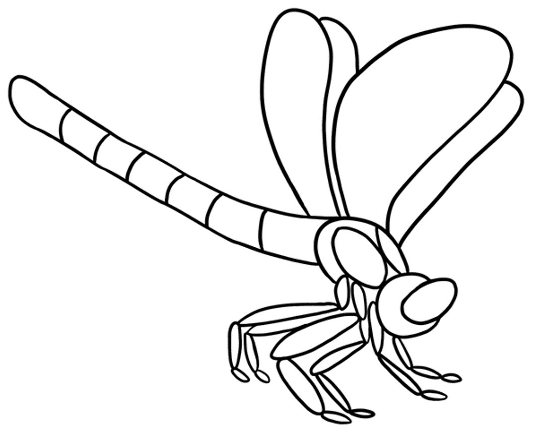 Libélula #5912