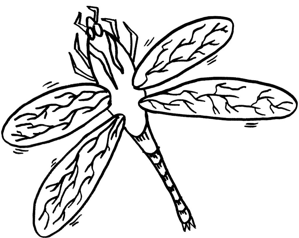 Libélula #5926