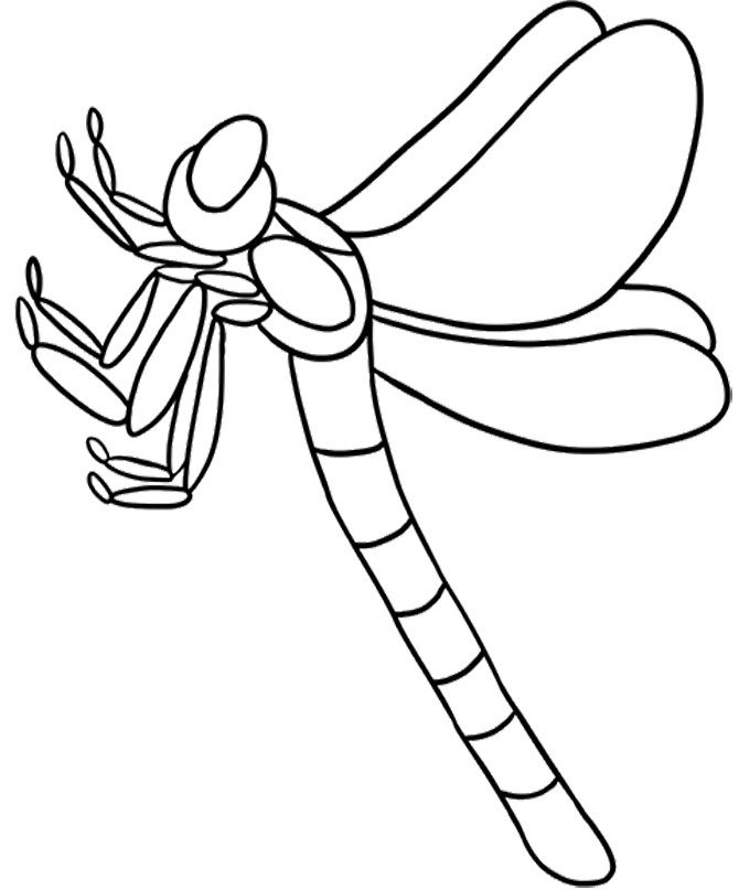 Libélula #5932