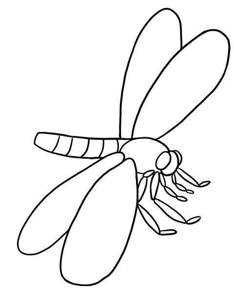 Libélula #5943