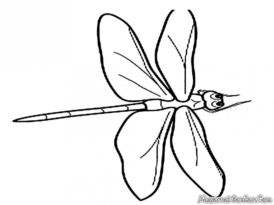 Libélula #5949
