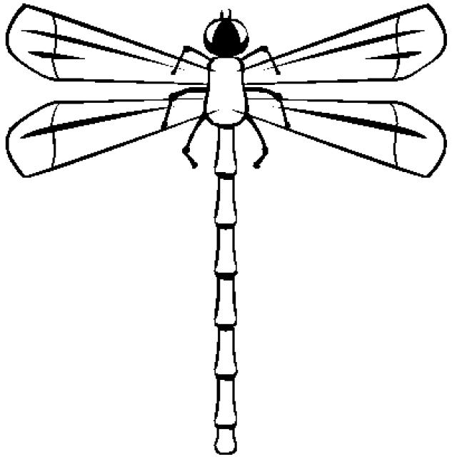 Libélula #5988