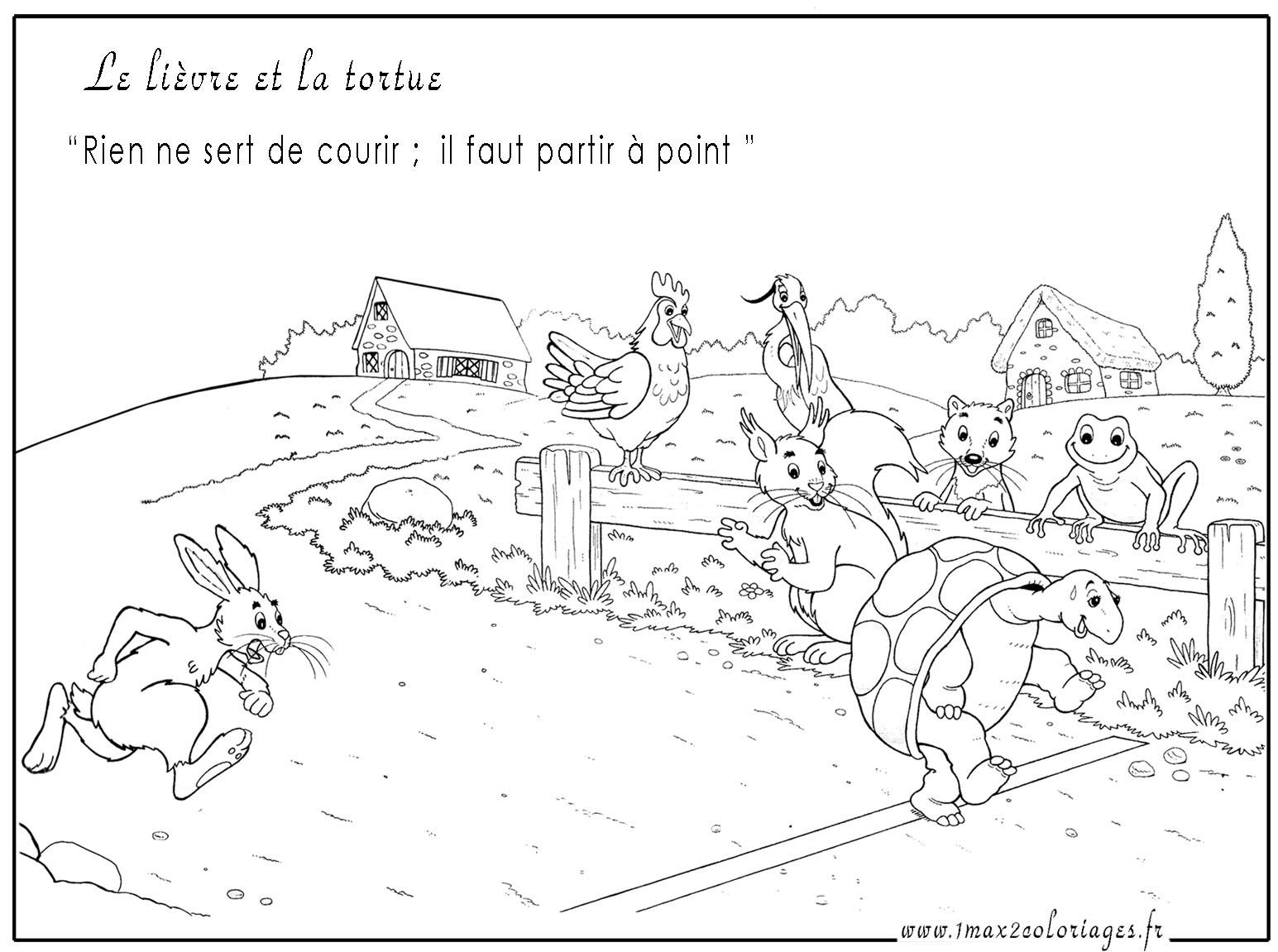 Liebre #6005