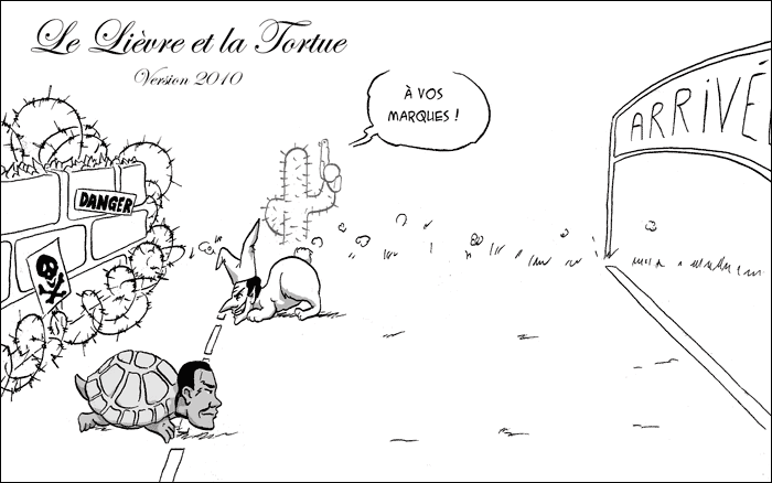 Liebre #6036