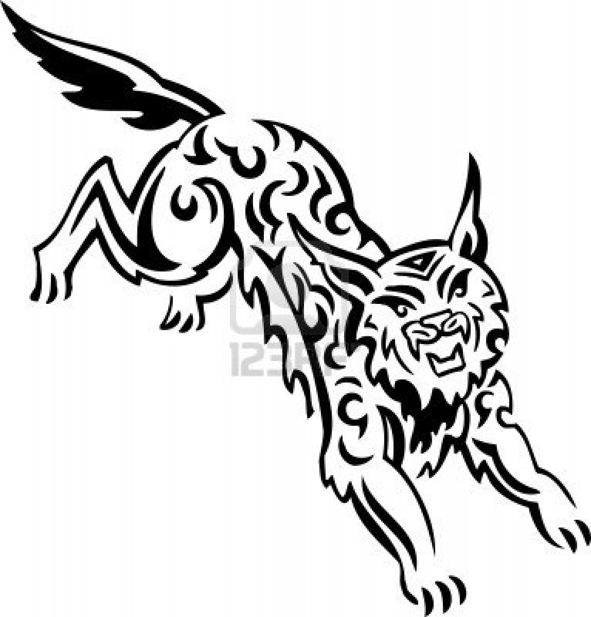 Lince #6057