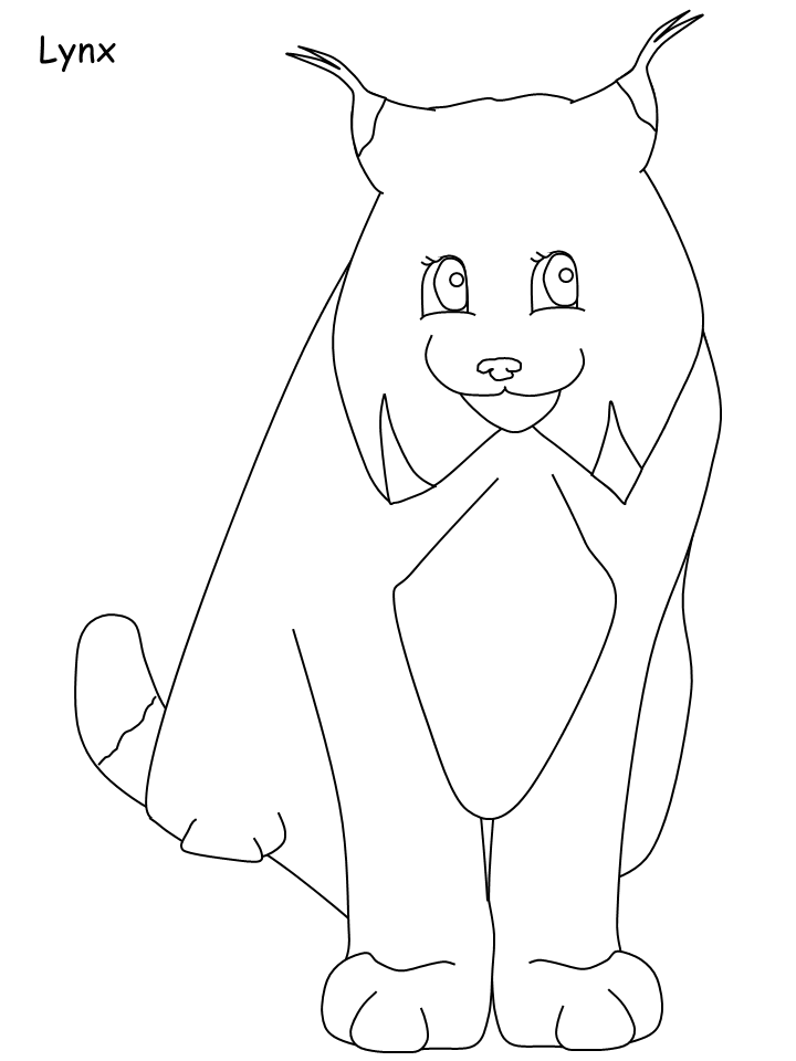 Lince #6090