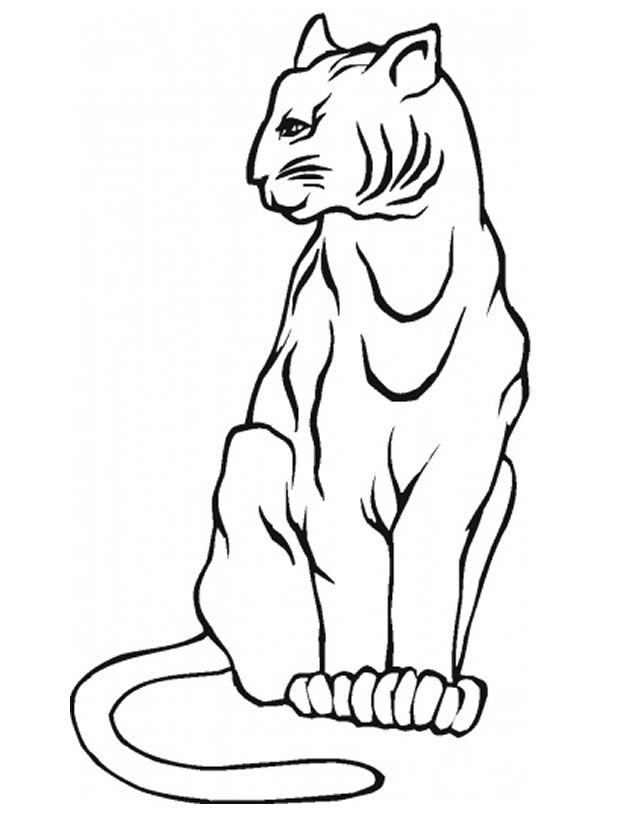 Lince #6095