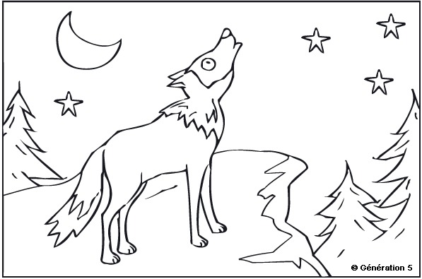 Lobo #6101