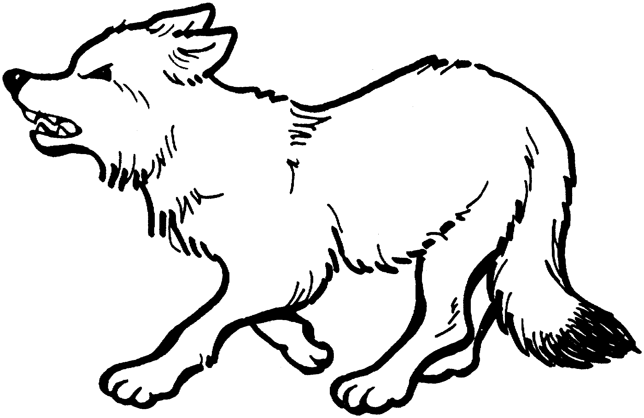 Lobo #6102