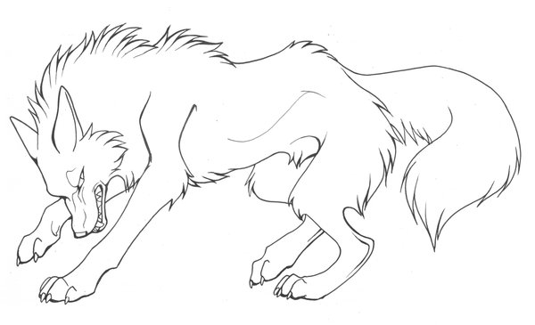 Lobo #6103