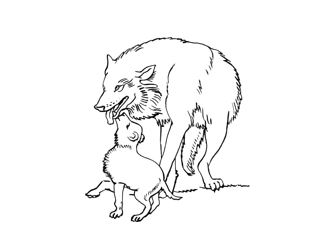 Lobo #6110