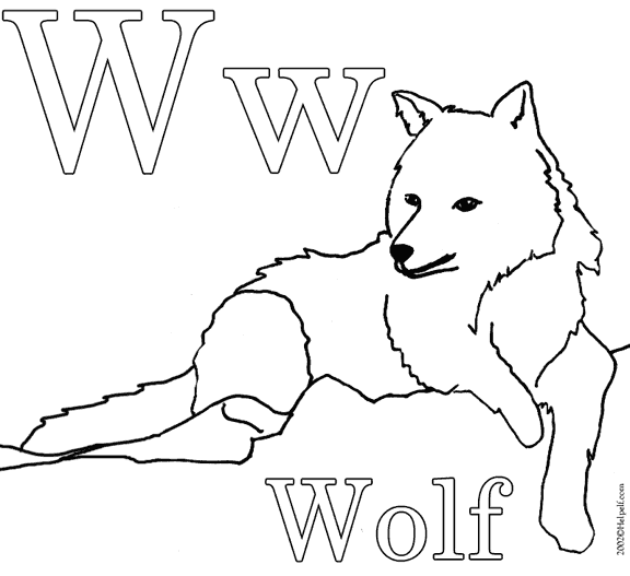 Lobo #6111