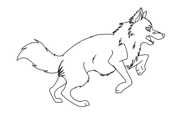 Lobo #6113