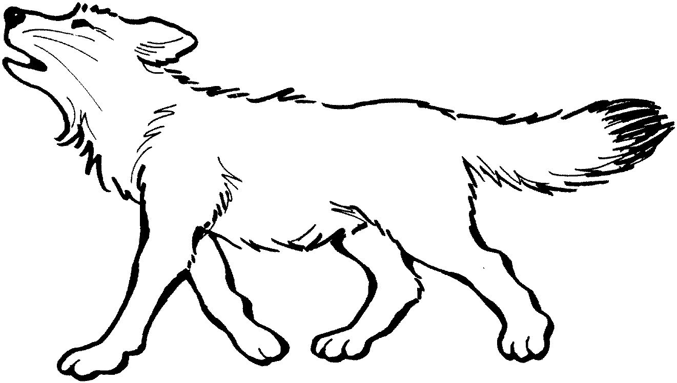 Lobo #6115