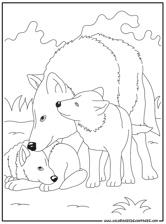 Lobo #6123