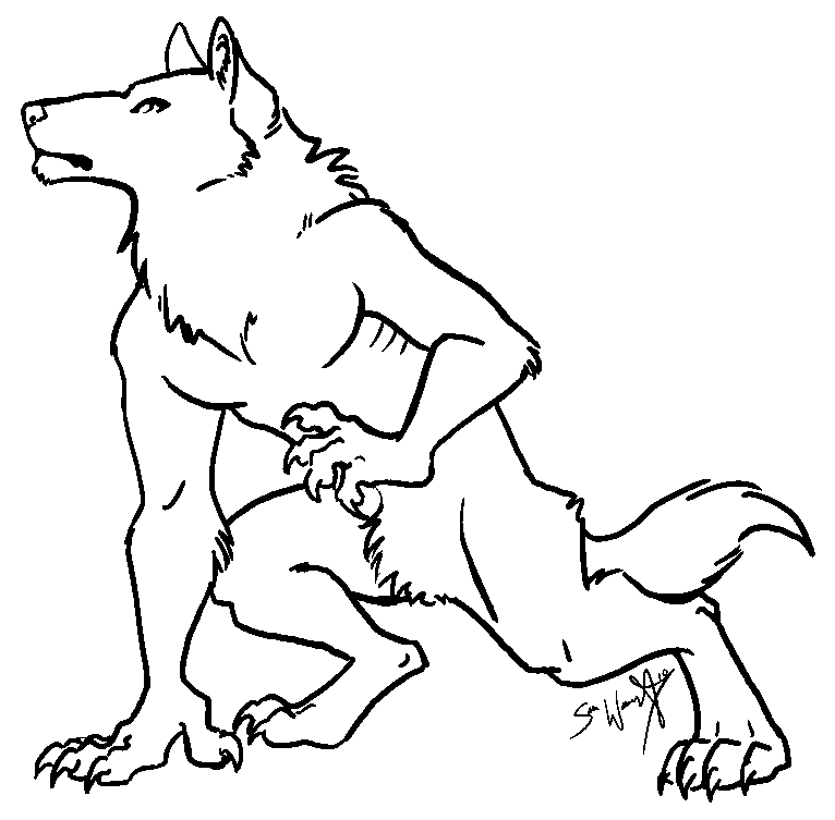 Lobo #6142