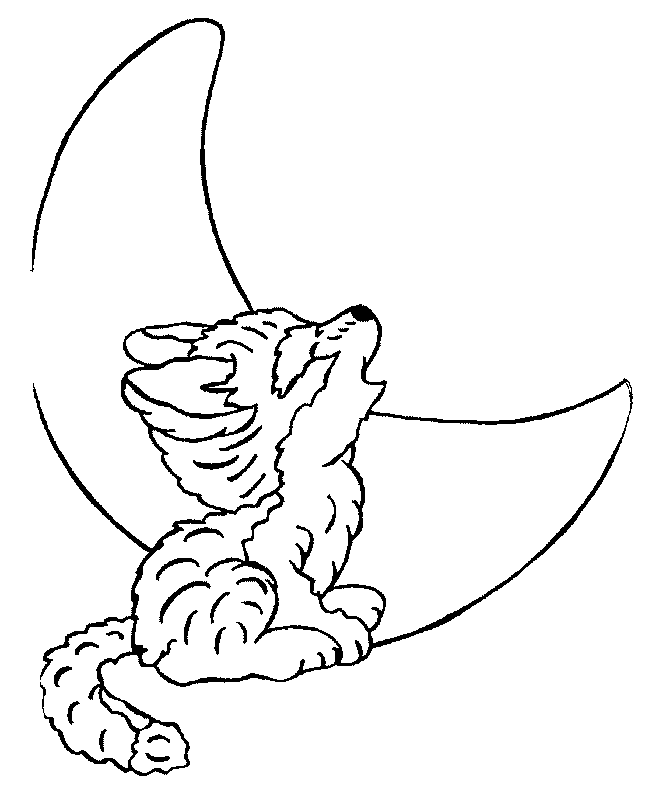Lobo #6147