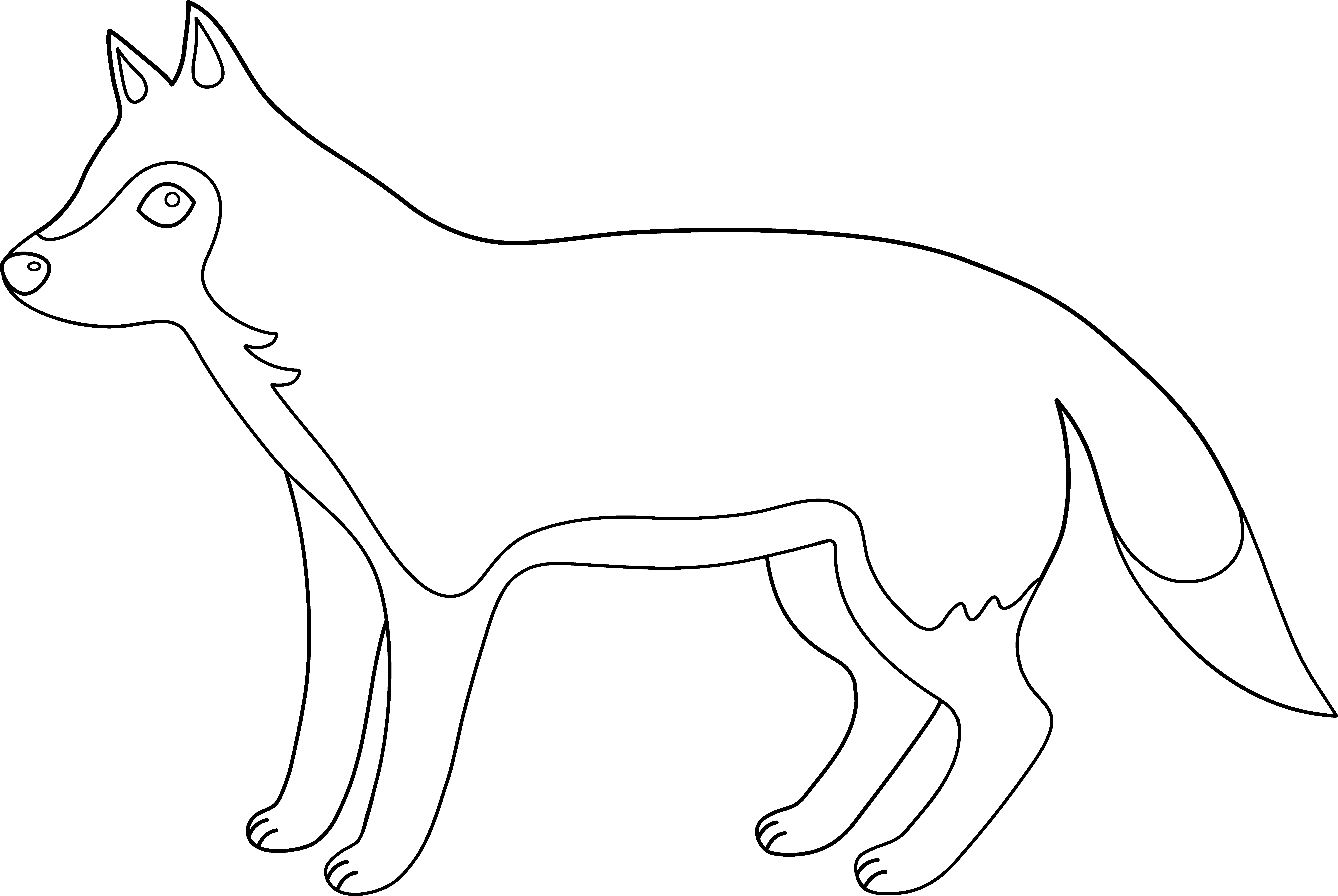 Lobo #6148