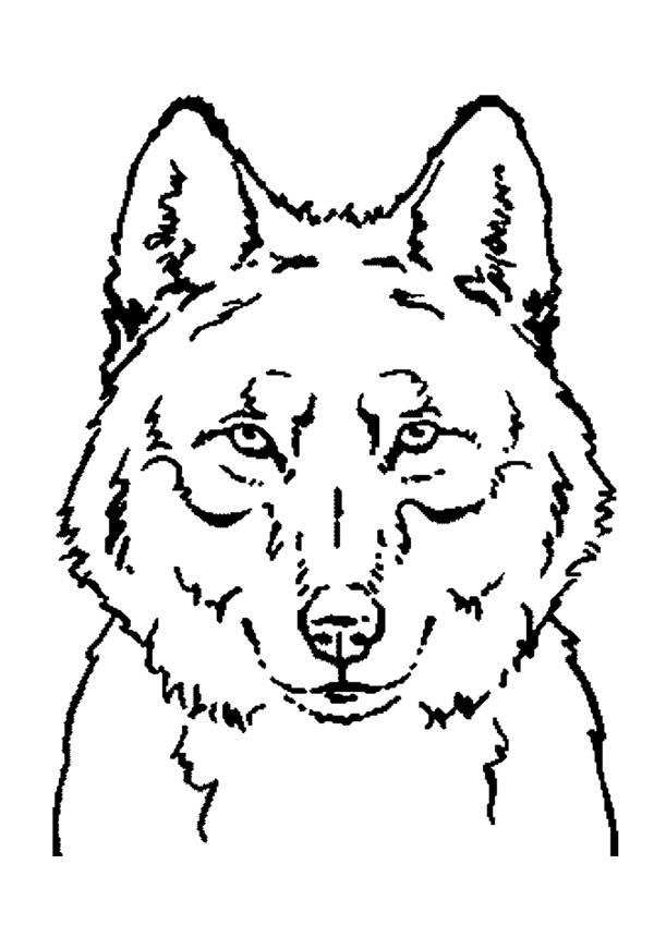 Lobo #6149