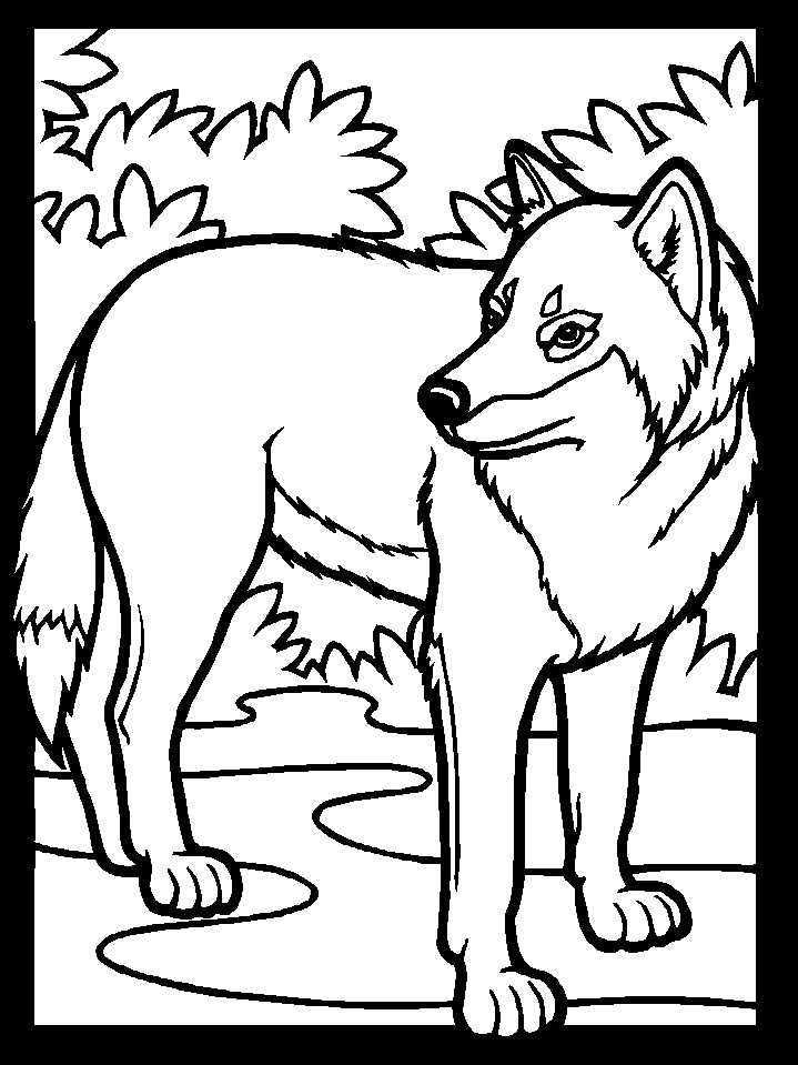 Lobo #6150