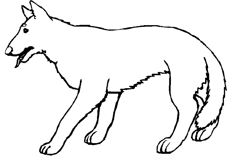 Lobo #6158